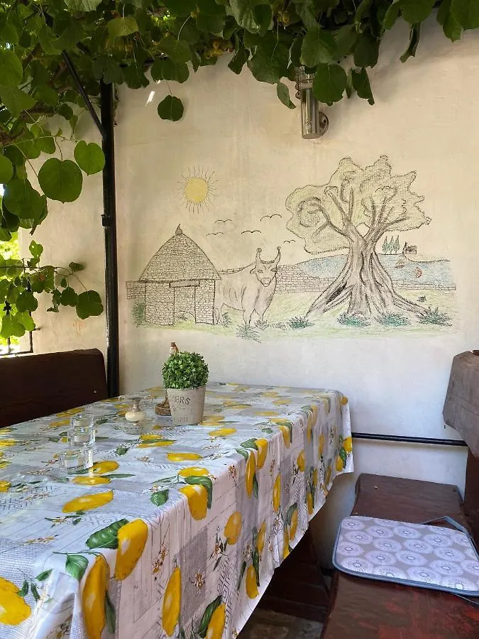 Studio Apartment Elsa Galižana
